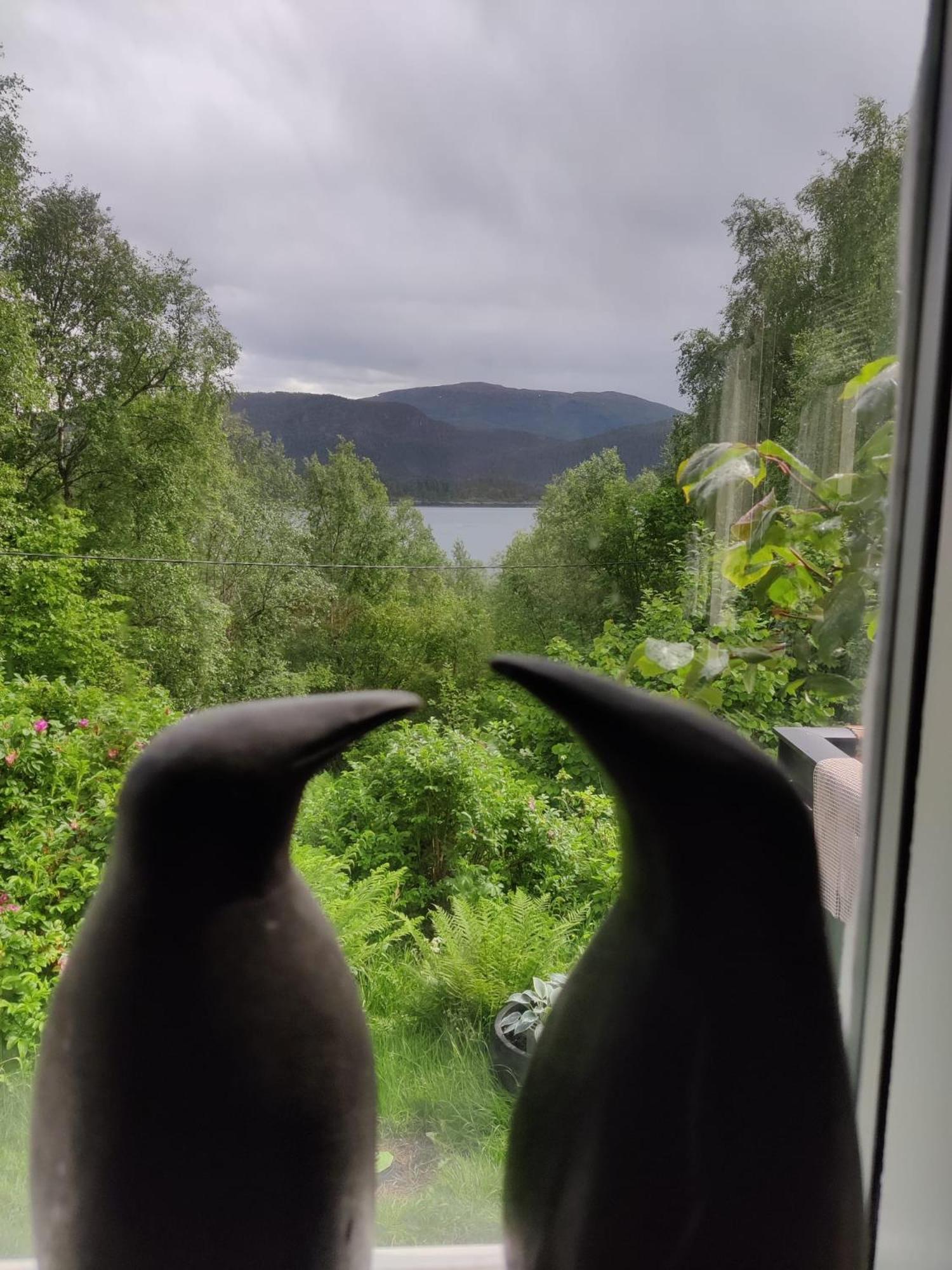 Вилла Fjord Peace Skodje Экстерьер фото